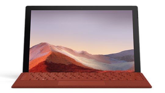 南郊清洁和维护 Surface